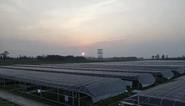 教师资格证备考:如何高效应对笔试与面试环节